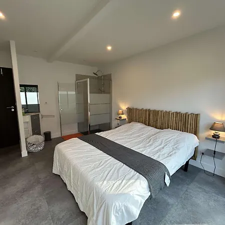 Villa D'exception Avec Piscine Chauffee Proche Ocean A - Fr-1-831-8 *