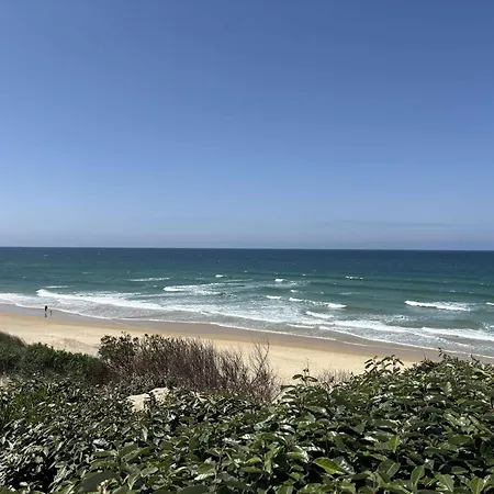 וילה D'exception Avec Piscine Chauffee Proche Ocean A - Fr-1-831-8 ביסקארוס